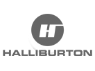 Haliburton client logo